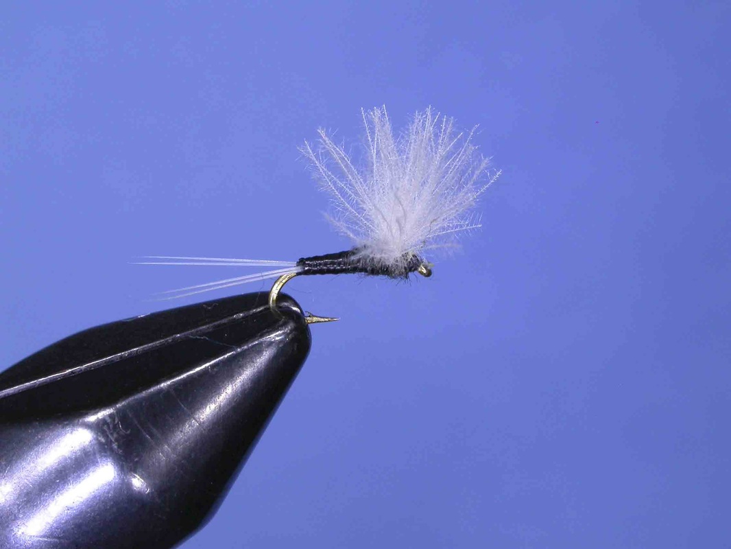 cdc trico