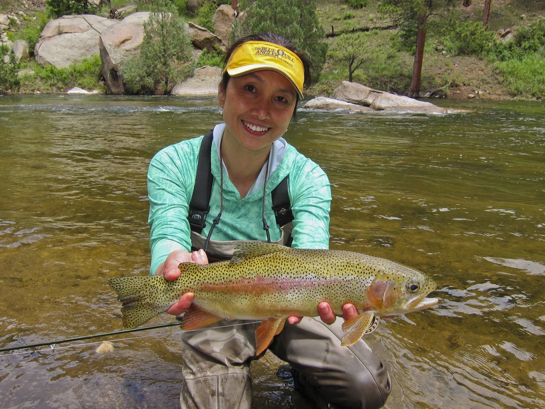 Flows Down to 1400 CFS in Cheesman Canyon Pat Dorsey Fly Fishing