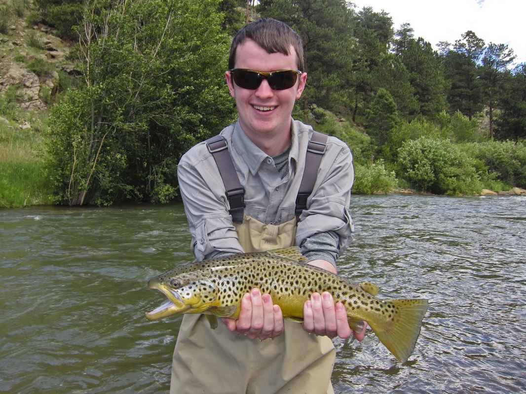 North Fork of the South Platte Fishing Excellent﻿ - Pat Dorsey Fly Fishing