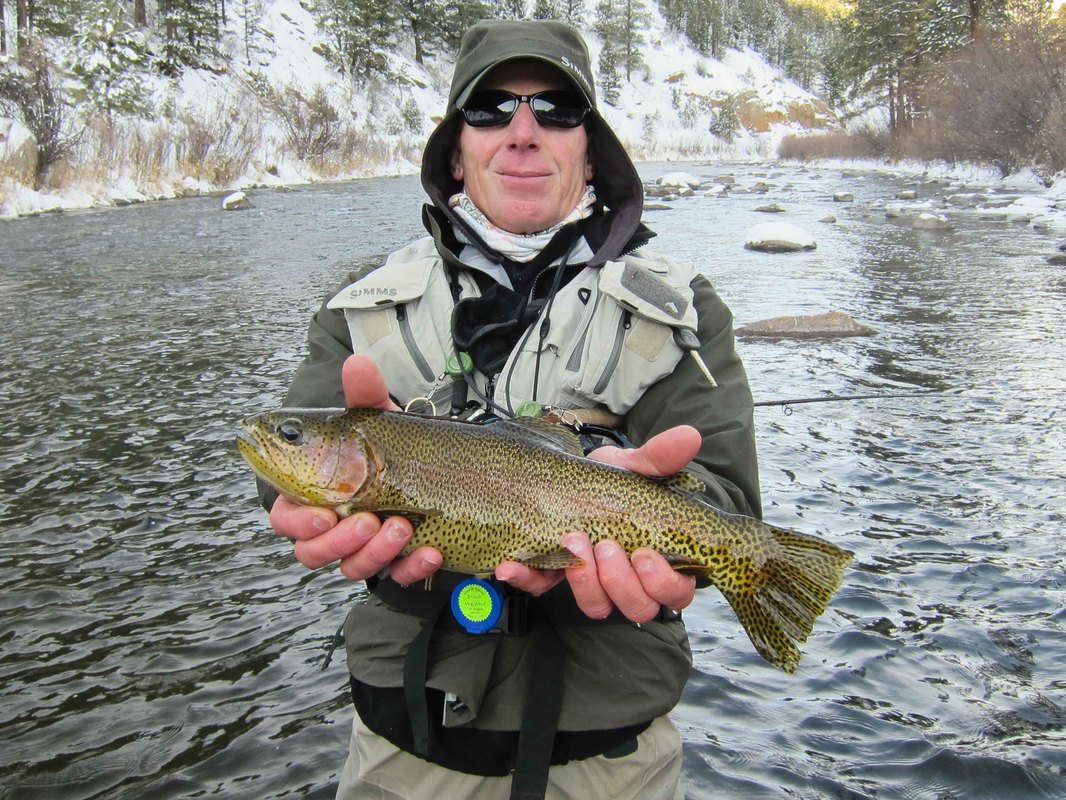 Fly Fishing in the Winter—10 Tips to Catch More Trout - Pat Dorsey Fly  Fishing