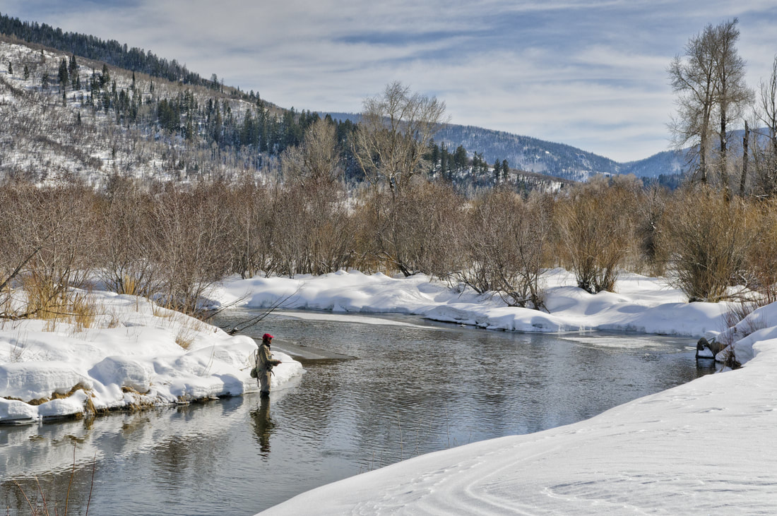 Tips to Catch Winter Trout - Pat Dorsey Fly Fishing