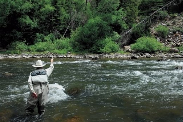 Fly Fishing During the Stonefly Hatch in Colorado