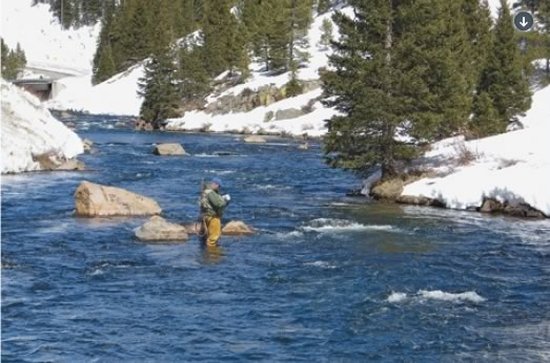 Fly Fishing in Colorado Pocket Water by Pat Dorsey