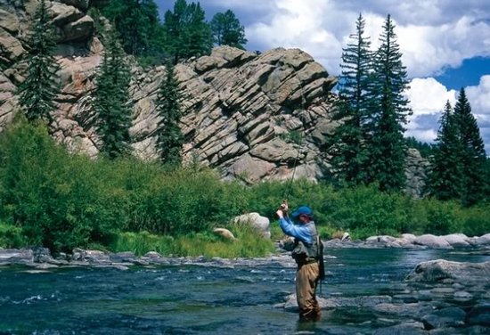 Fly Fishing in Elevenmile Canyon by Pat Dorsey