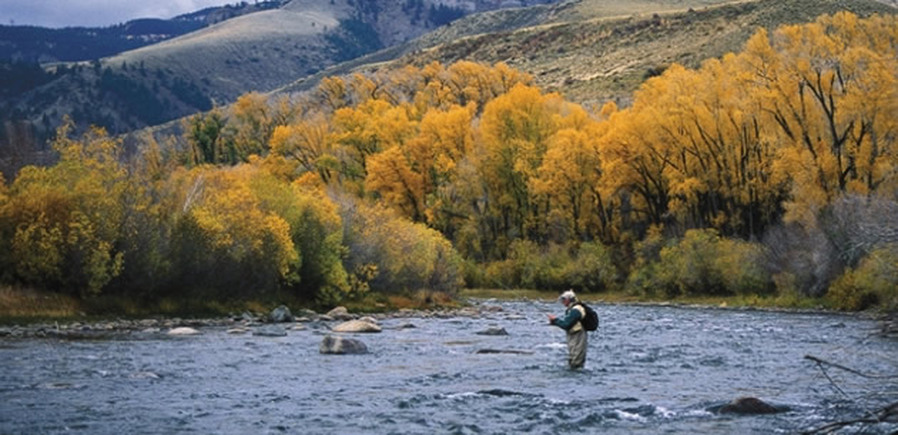 Small-Stream Fly Fishing on the Blue River in Colorado by Pat Dorsey