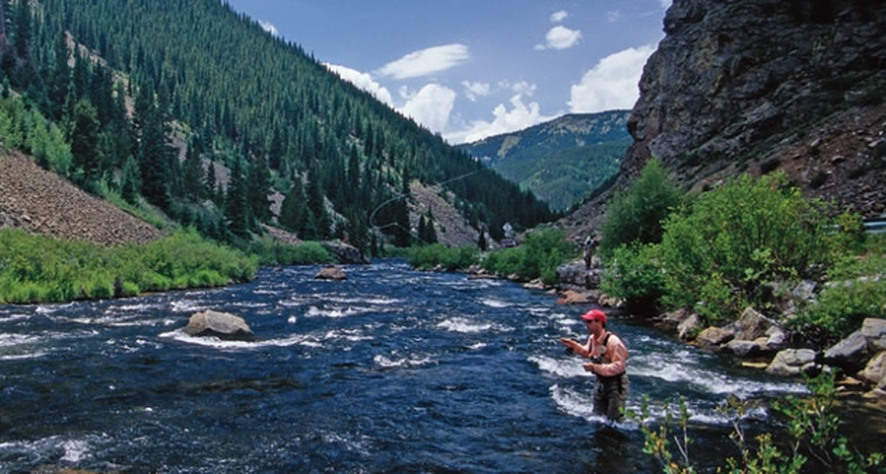 Colorado's Best Tailwaters for Fly Fishing