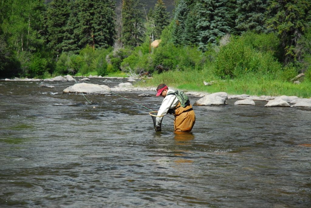 Stream Report for the Blue River in Colorado by Pat Dorsey