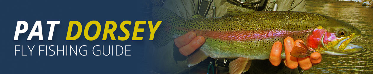 Background Information About Colorado Fly Fishing Guide Pat Dorsey