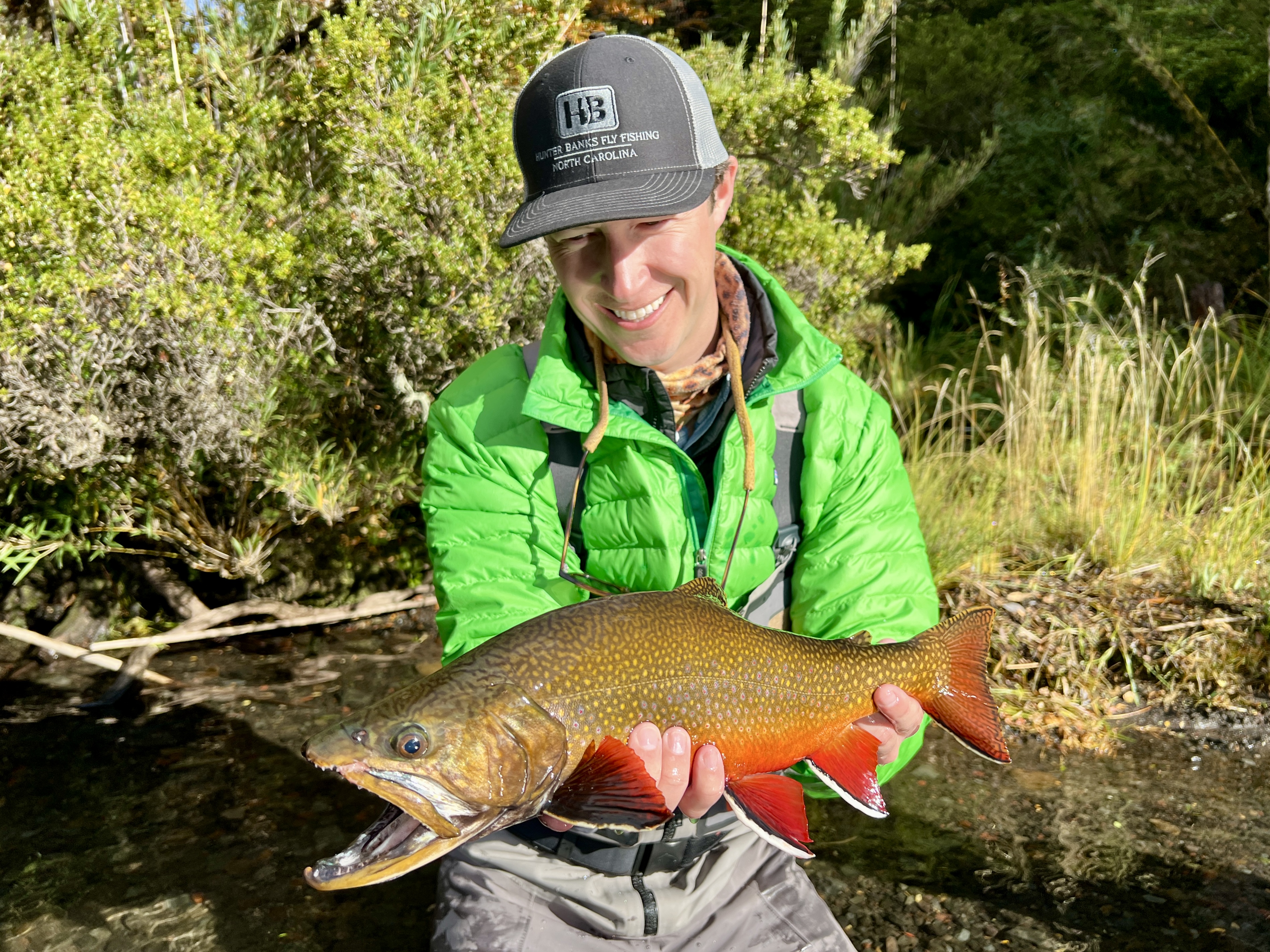 Patagonia brook trout fishing